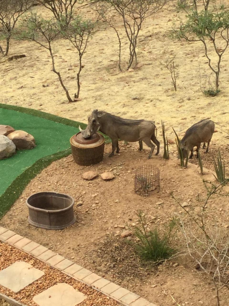 Voigtland Windhoek Rural Self Catering מראה חיצוני תמונה